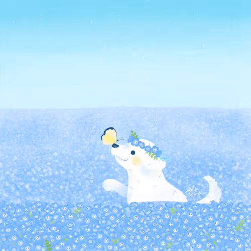 Item #10476000101 Media