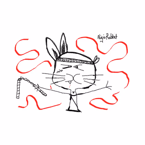Ninja Rabbit