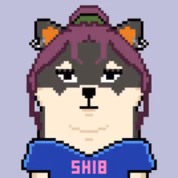 SHEB #41