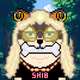 SHEB #17497
