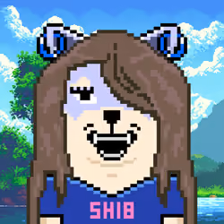 SHEB #13049