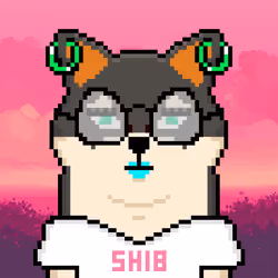 SHEB #13825