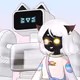 2429