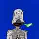 Duck #9811