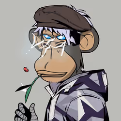 Zero Ape Club #1205
