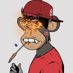 Zero Ape Club #1204