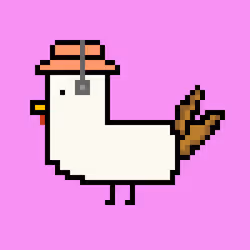 chicken #12