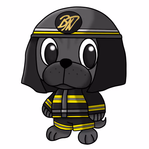 Babybunta 2nd Collection