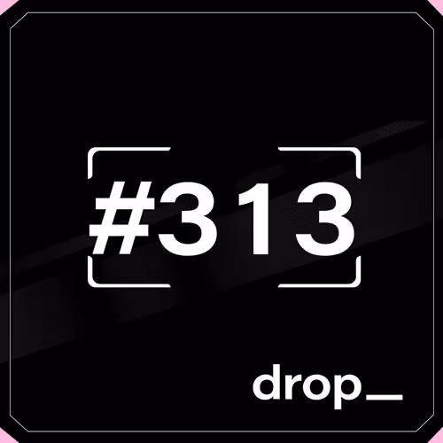 Dropspace Mint Ticket #313