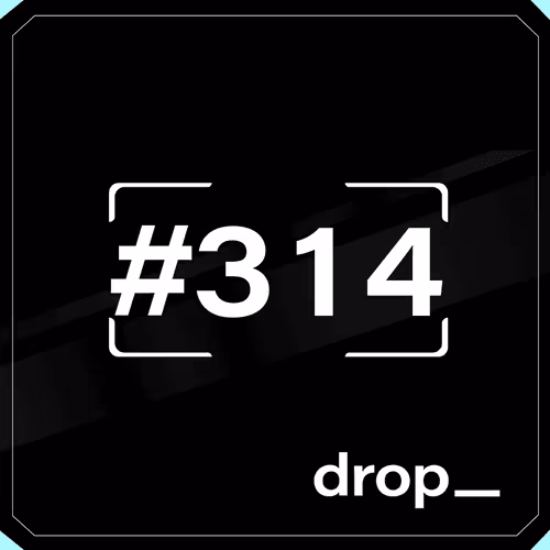 Dropspace Mint Ticket #314