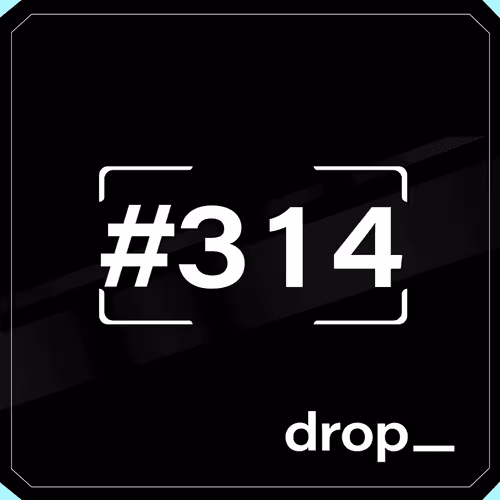 Dropspace Mint Ticket #314