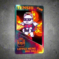 Item #30 Media