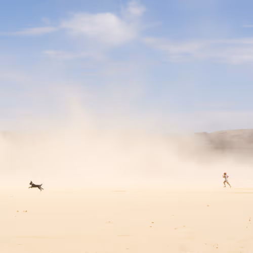 Dust Zooms