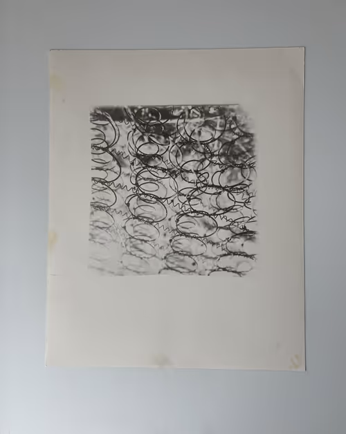 Item #42 Media
