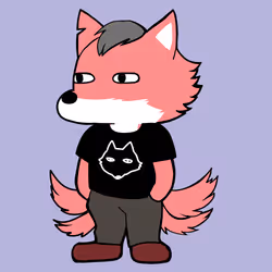 4041