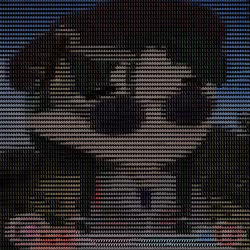 8041