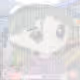 4558
