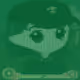 8081