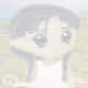 685