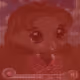 81