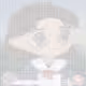 9099