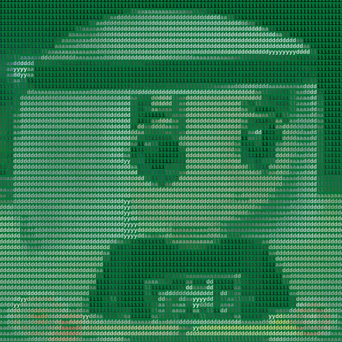Ascii Milady