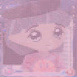 8464