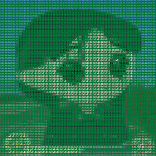 Ascii Milady