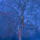 Find Stillness Within the Noise