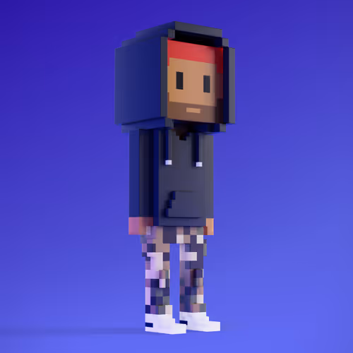 Meebit #2501