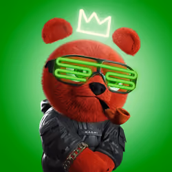 Culture Cub #2072