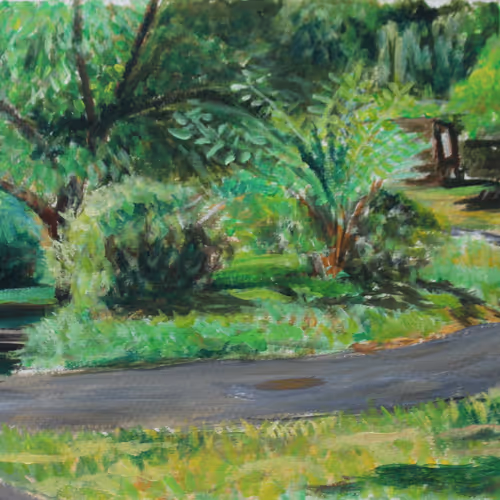 Plein Air Landscapes