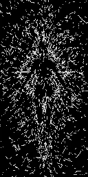 D1r 1 000 000 Typxls 1 000 000 Eth