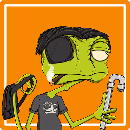 Chameleons In The City