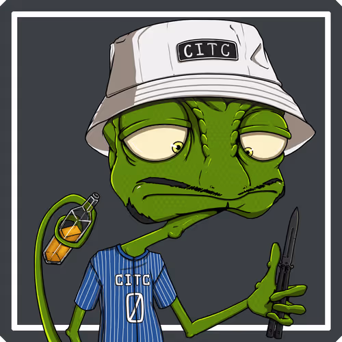 Chameleons In The City