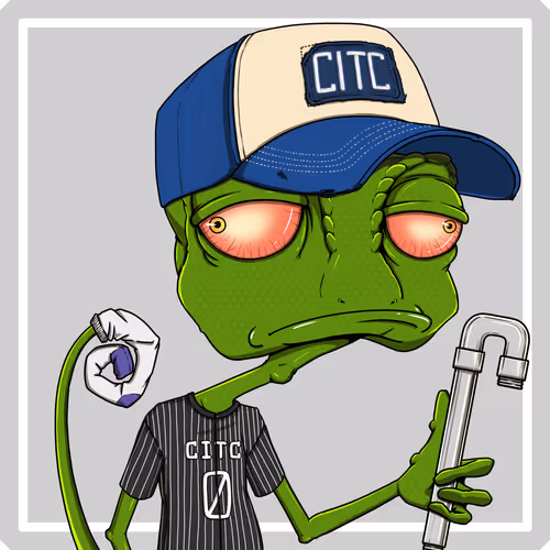 Chameleons In The City
