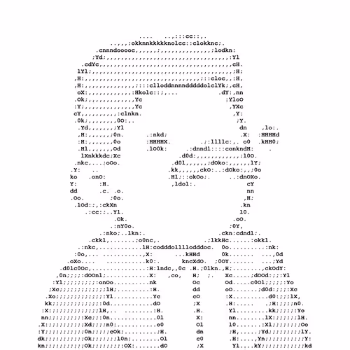 Ascii Doodles