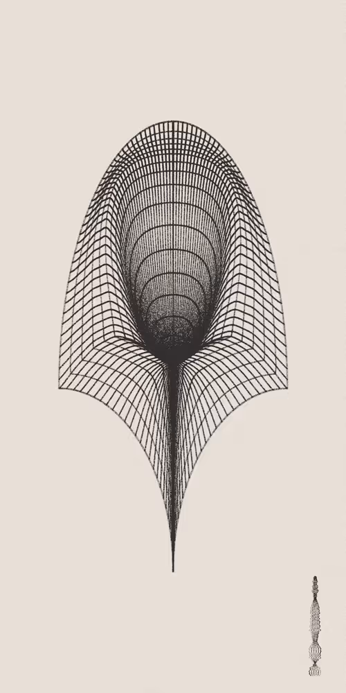 Item #16000036 Media