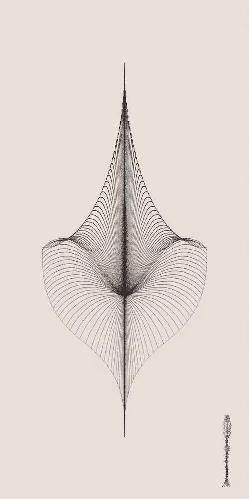 Item #16000037 Media