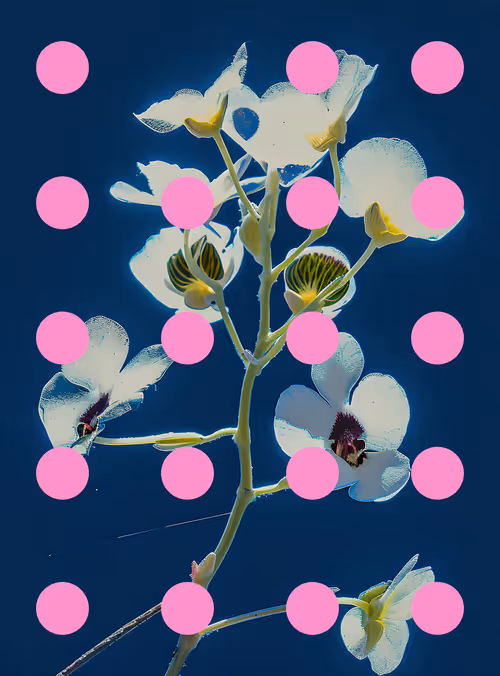 Item #29000052 Media