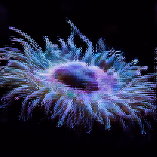 Item #11000061 Media