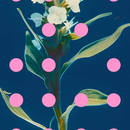 Flore Perdue By Linda Dounia