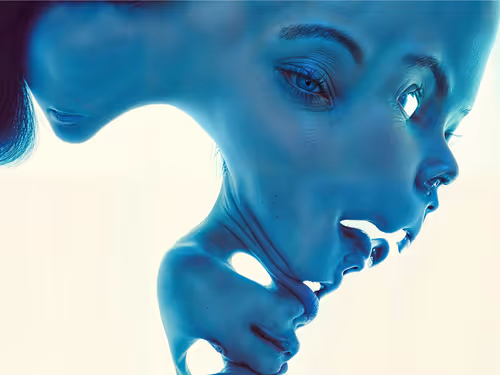 Item #23000053 Media