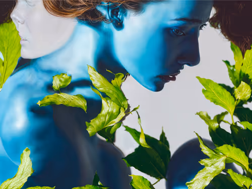 Item #23000041 Media