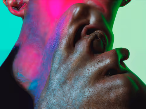 Item #23000043 Media