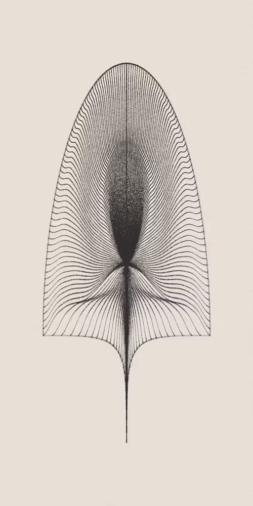 Item #16000030 Media