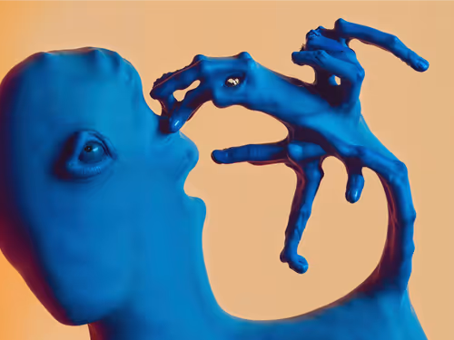 Item #23000058 Media