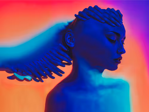 Item #23000003 Media