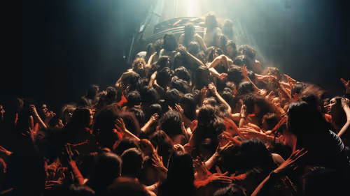 Item #21000023 Media