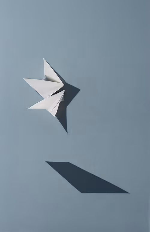 Item #20000054 Media